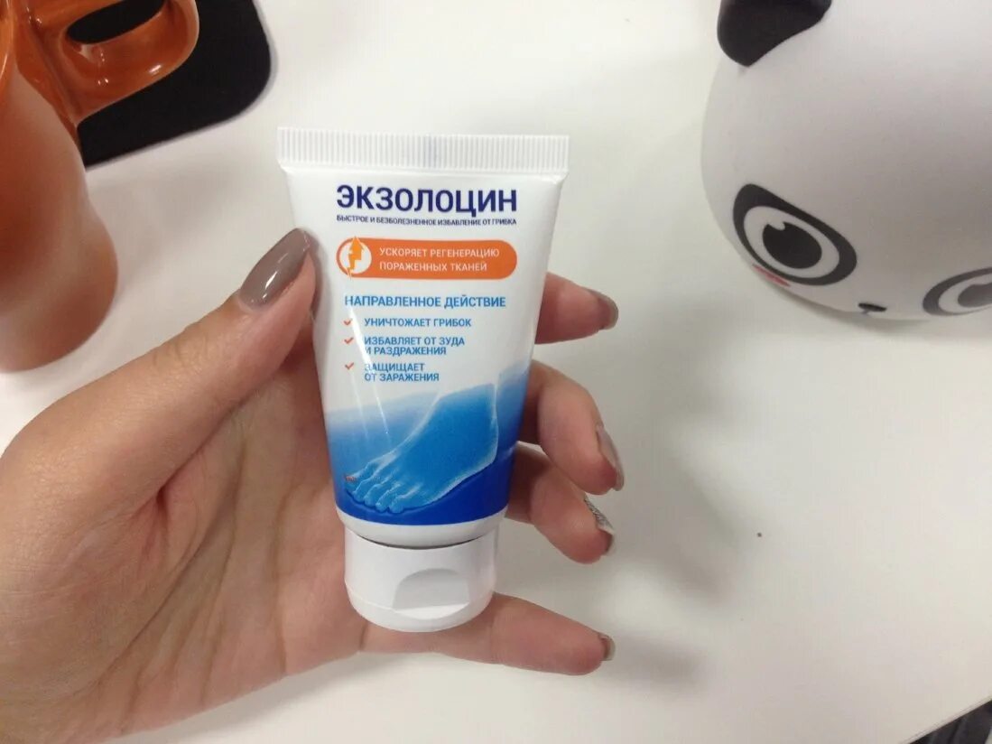 Экзонорм