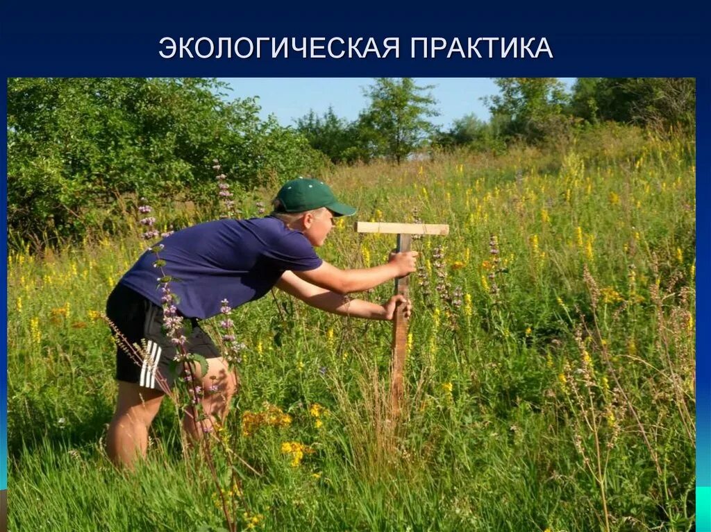 Социальные практики по экологии. Учебная практика экология. Экологические практики. Экологические практики. Школьники на экскурсии на природе.
