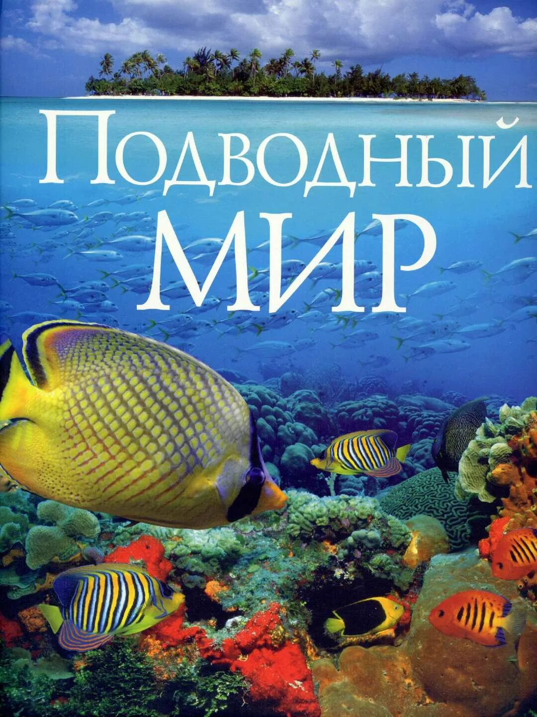 Морские обитатели книги. Книга подводный мир. Обитатели морей и океанов. Подводный мир надпись. Подводный мир обложка.