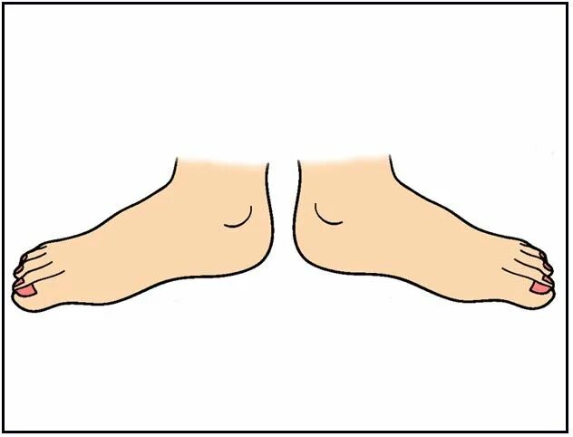 Foot по английски. Части тела стопы. Карточки для детей части ноги. Части ноги для детей. Карточки стопы для детей.