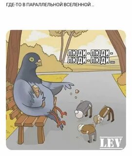 Какой параллельной вселенной