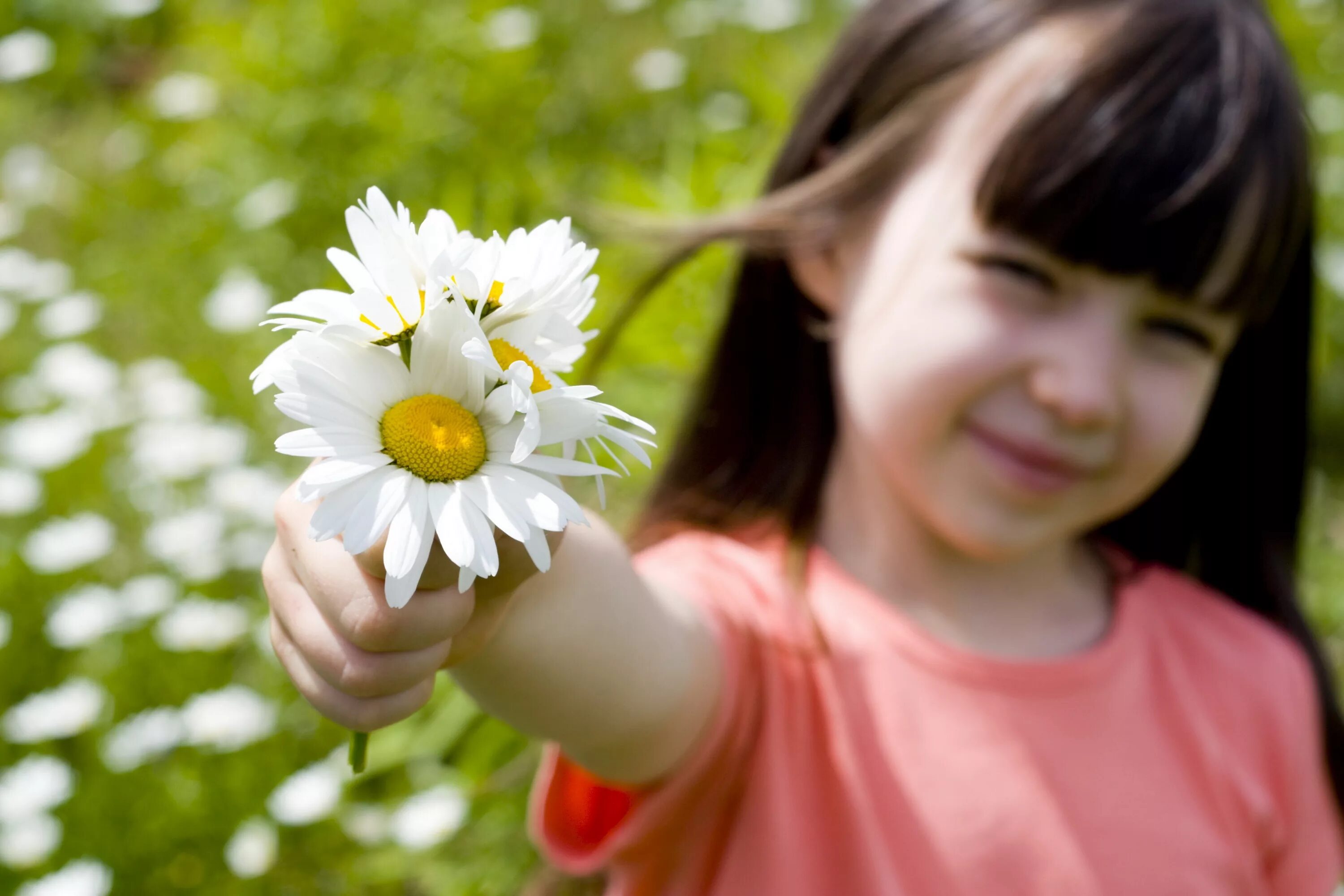 Картинка добрый цветок. Девочка в ромашках. Ребенок с цветами в руках. Ромашка для детей. Ребенок с цветком в руках.