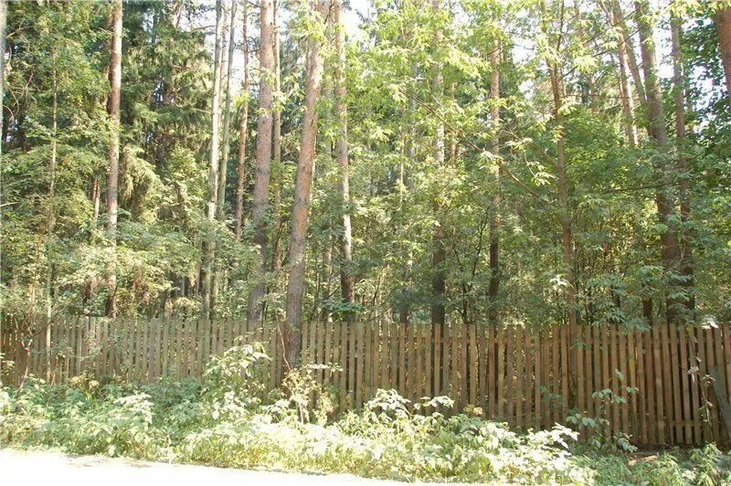Большая д. Высоковольтная, 14а. Участки в кратово раменский. Снт кратово. Участки в кратово раменский.