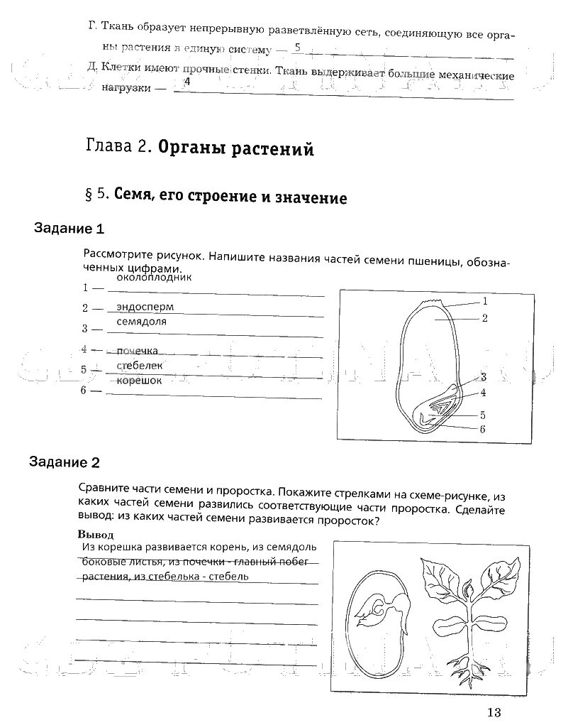 Рабочая тетрадь по биологии 6 класс Пономарева. Рабочая тетрадь по биологии 6 класс Пономарева 1 часть. Рабочая тетрадь по биологии 6 класс по Пономарева.