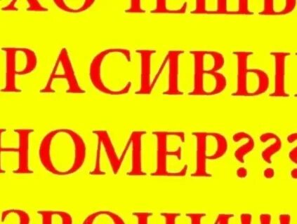 Номер телефона барина