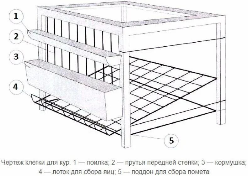 Чертежи клеток для кур несушек. Чертеж клетки для кур бройлеров. Клетка для перепелов чертеж. Гнёзда для кур несушек с яйцесборником чертежи.