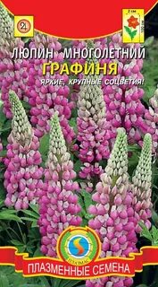 Семена цветов люпины