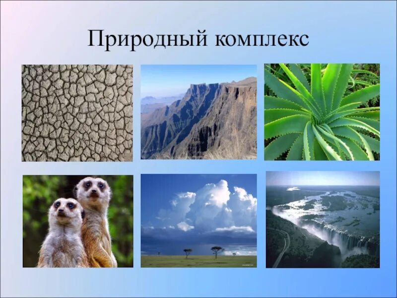 Что относится к природным компонентам. Природные комплексы. Природные комплексы картинки. Природный территориальный комплекс. Природный комплекс слайд.