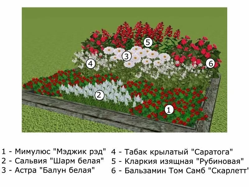 Сколько процентов всего участка занимает цветник огэ