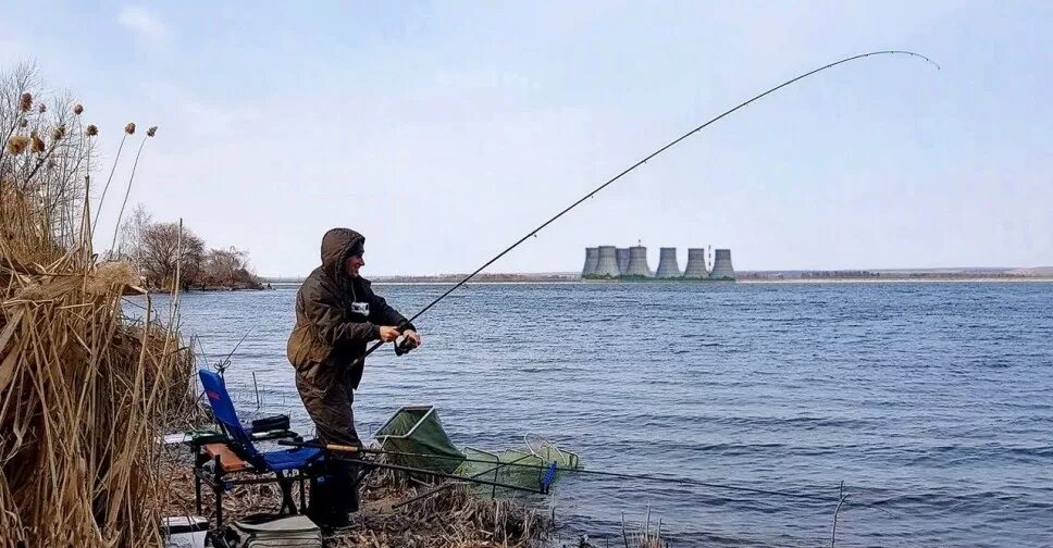 Рыбалка аэс. Нововоронежский пруд охладитель рыбалка. Тилапия рыба Нововоронеж. Удомля рыбалка тилапия. Пруд охладитель Нововоронежская АЭС рыбалка тилапия.