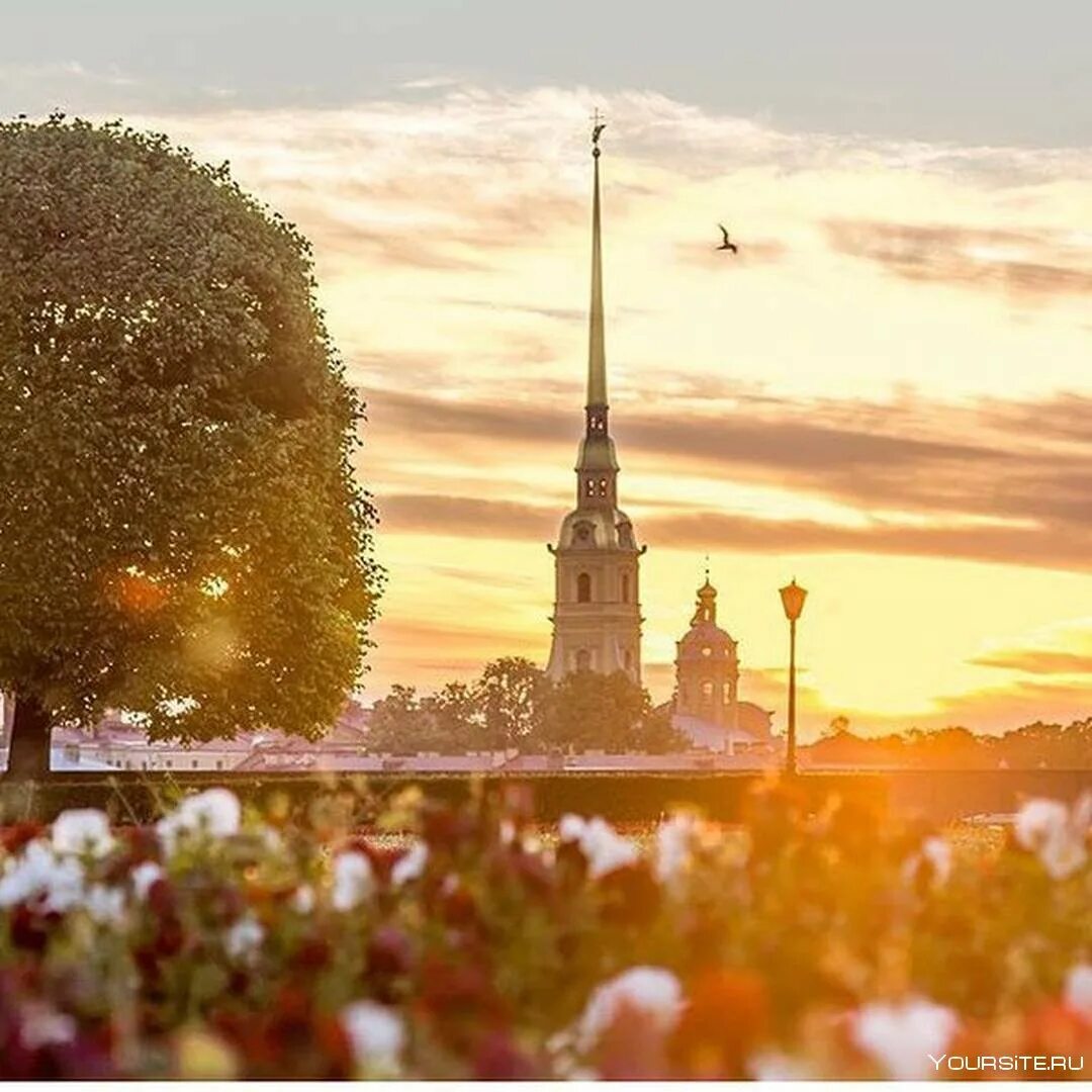 Утренний санкт петербург. Утро в Питере. Доброе утро Питер. Солнечное утро в Питере. Питер летом.