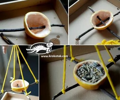 Кормушка из апельсина для птиц
