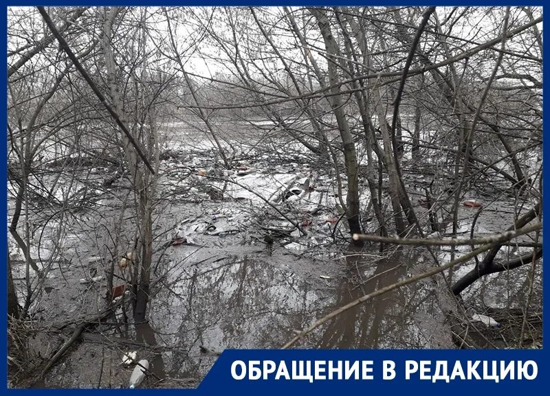Река дон разлилась