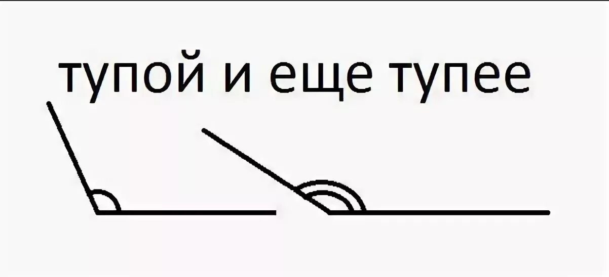 Включи 3 тупых