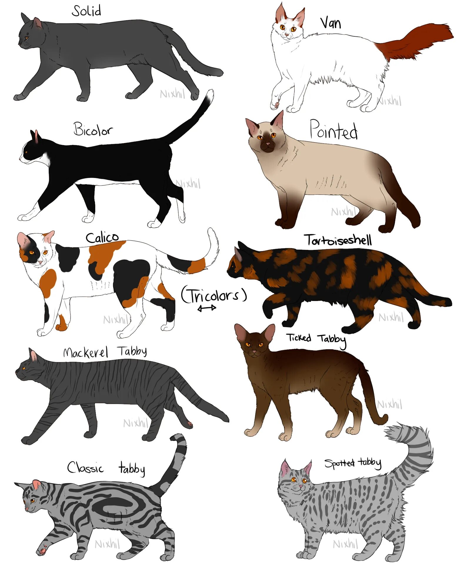 Найти породу кошки. Типы tabby окрасов. Breed порода кошек. Окрасы кошек. Распространенные окрасы кошек.
