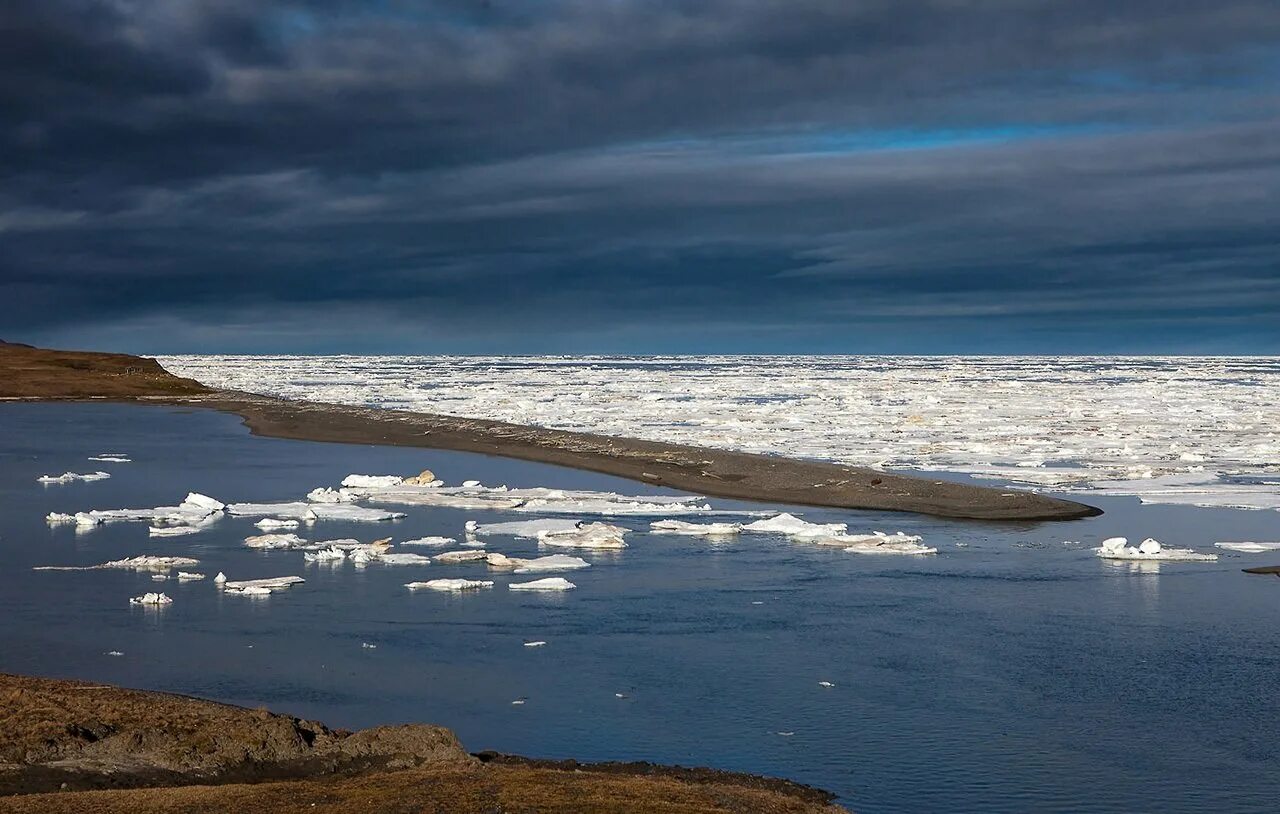 Прогноз береговой. Ямал Карское море. Арктика море Лаптевых. Карское и море Лаптевых. Остров Северный Карское море.