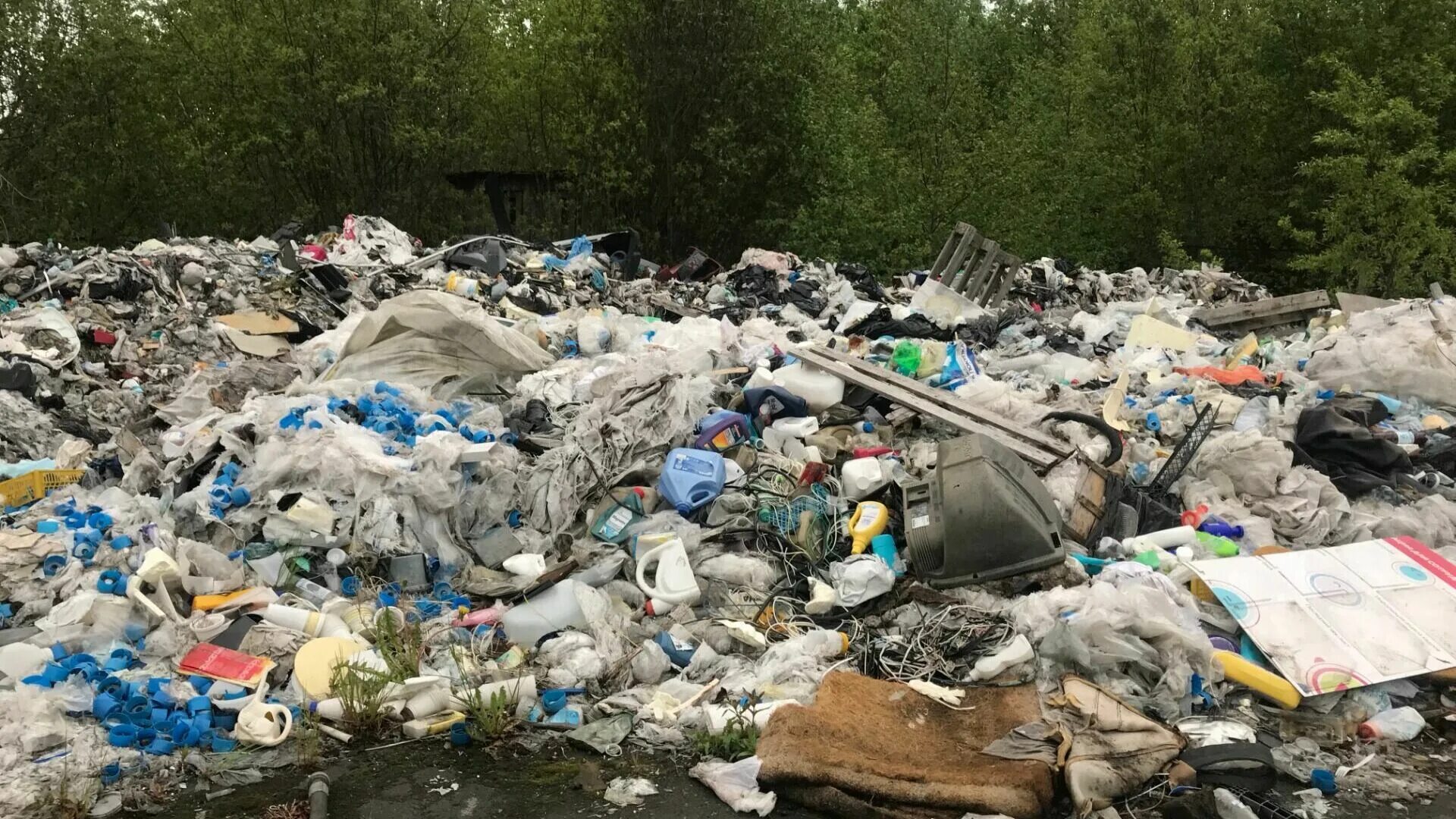 Убило мусоркой. Полигон ТБО Омск. Городская свалка Омск. Мусорный полигон в Уфе. Несанкционированные свалки.