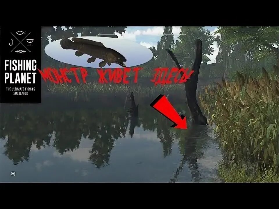 Река мадвотер fishing planet. Fishing planet ильная рыба. Щукожор эмеральд где ловить. Fishing planet гайд. Секреты реки мадвотер fishplanet.
