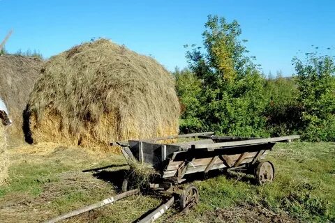 2 сенокосе