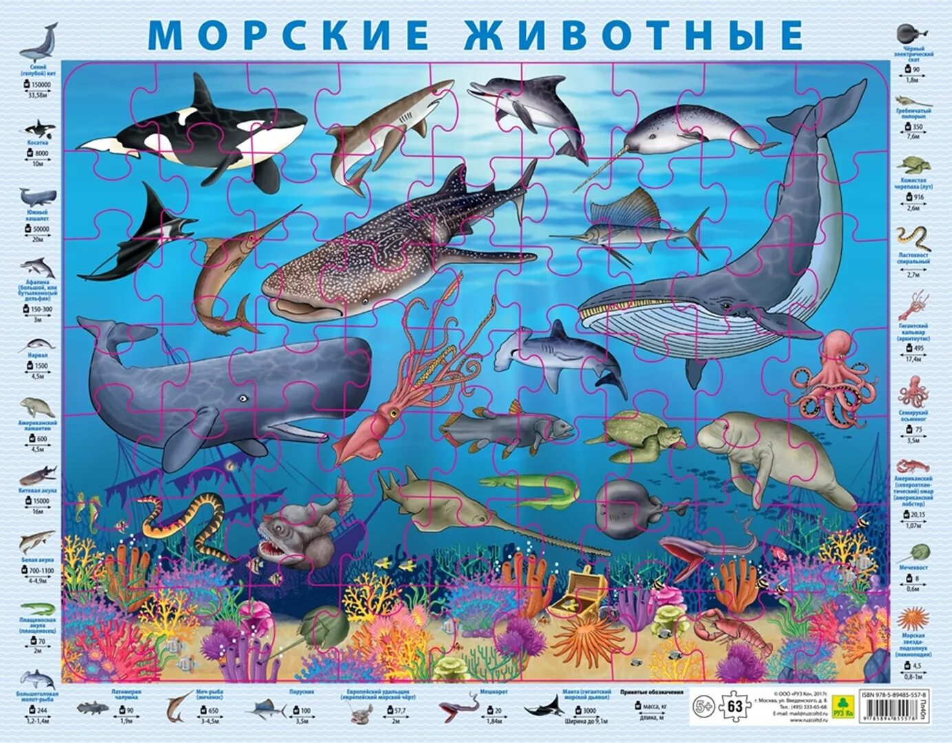 Жители океана для детей. Обитатели моря для детей. Морские животные для детей с названиями. Плакат "обитатели моря". Морские обитатели для детей.