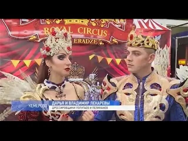 Стс цирк