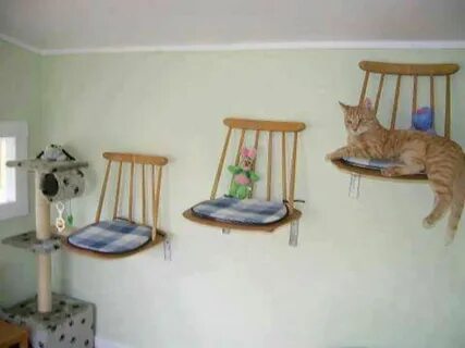 Стулья 2 кота