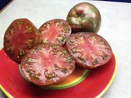 Гном малиновый