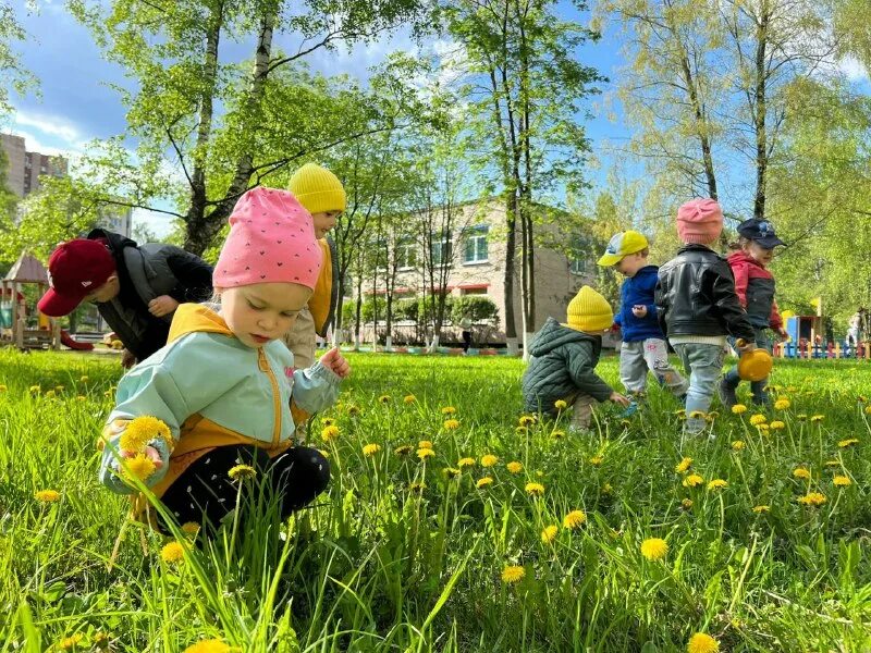 частный сад красносельский