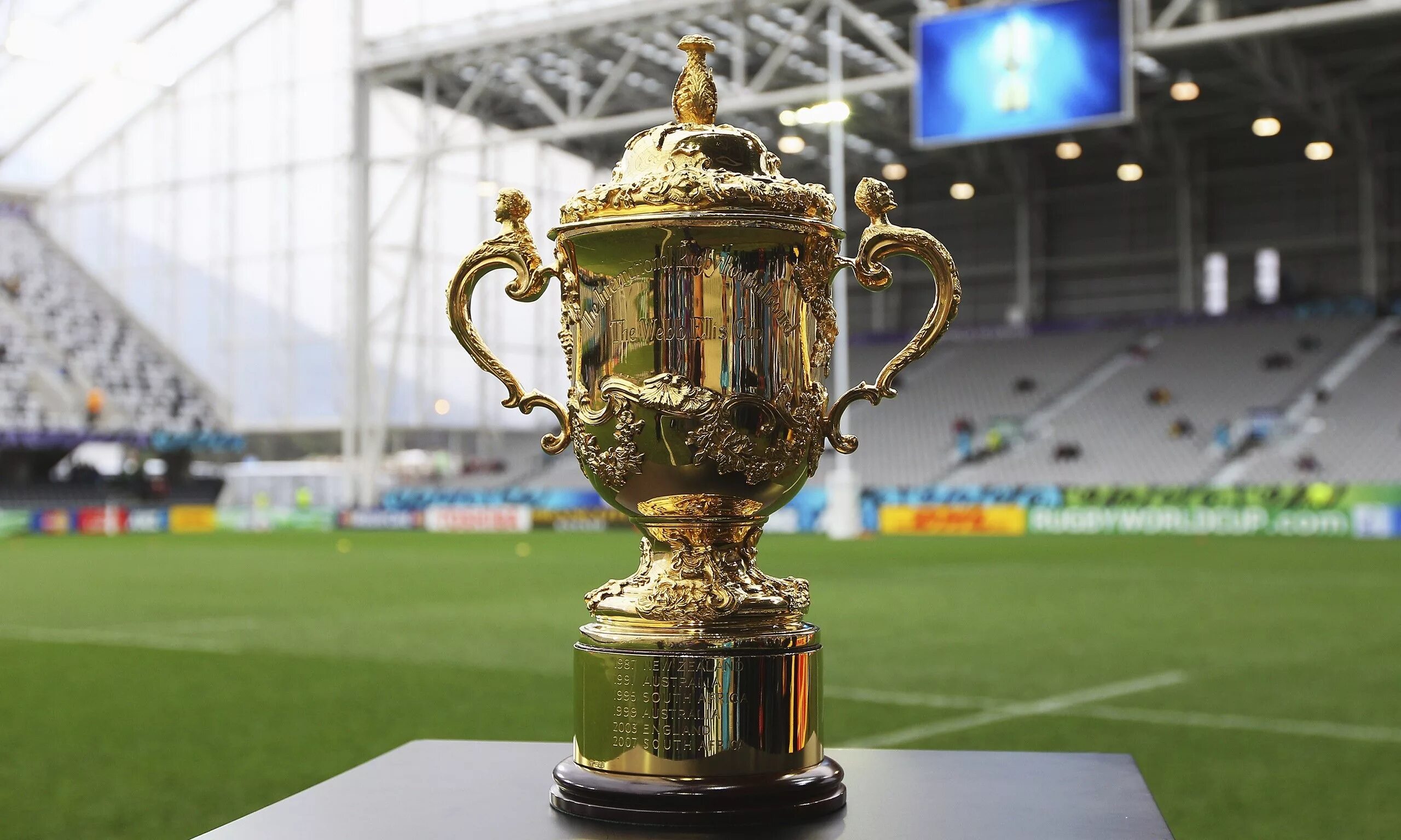 Cup wiki