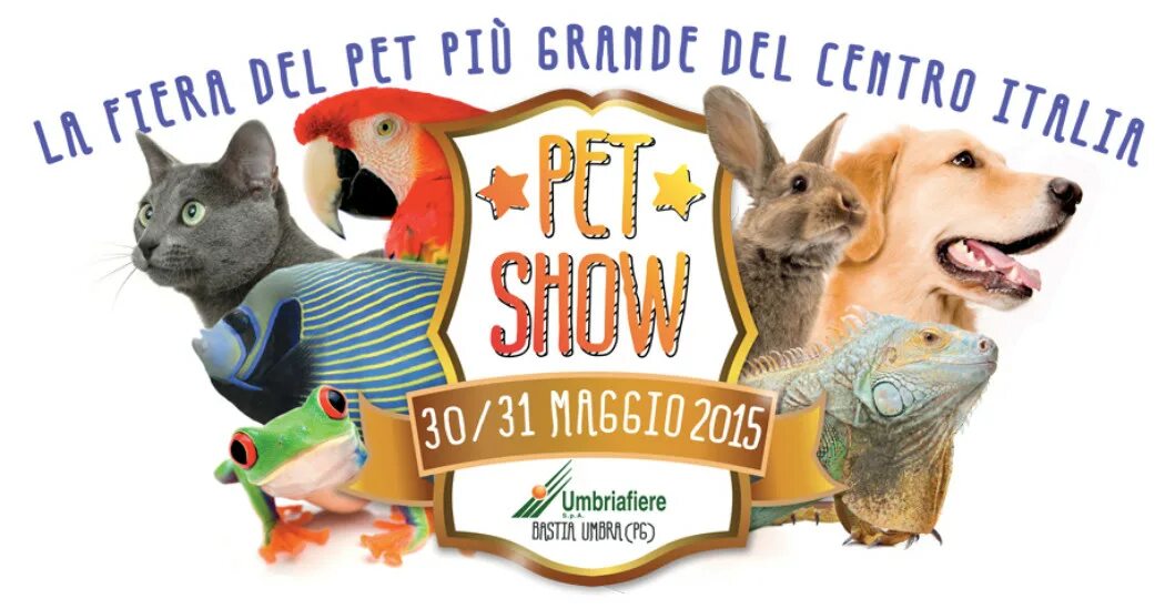 Шоу для питомцев. Pet show. Шоу пэт. Собачий дом моды логотип. Суперстар питомцы.