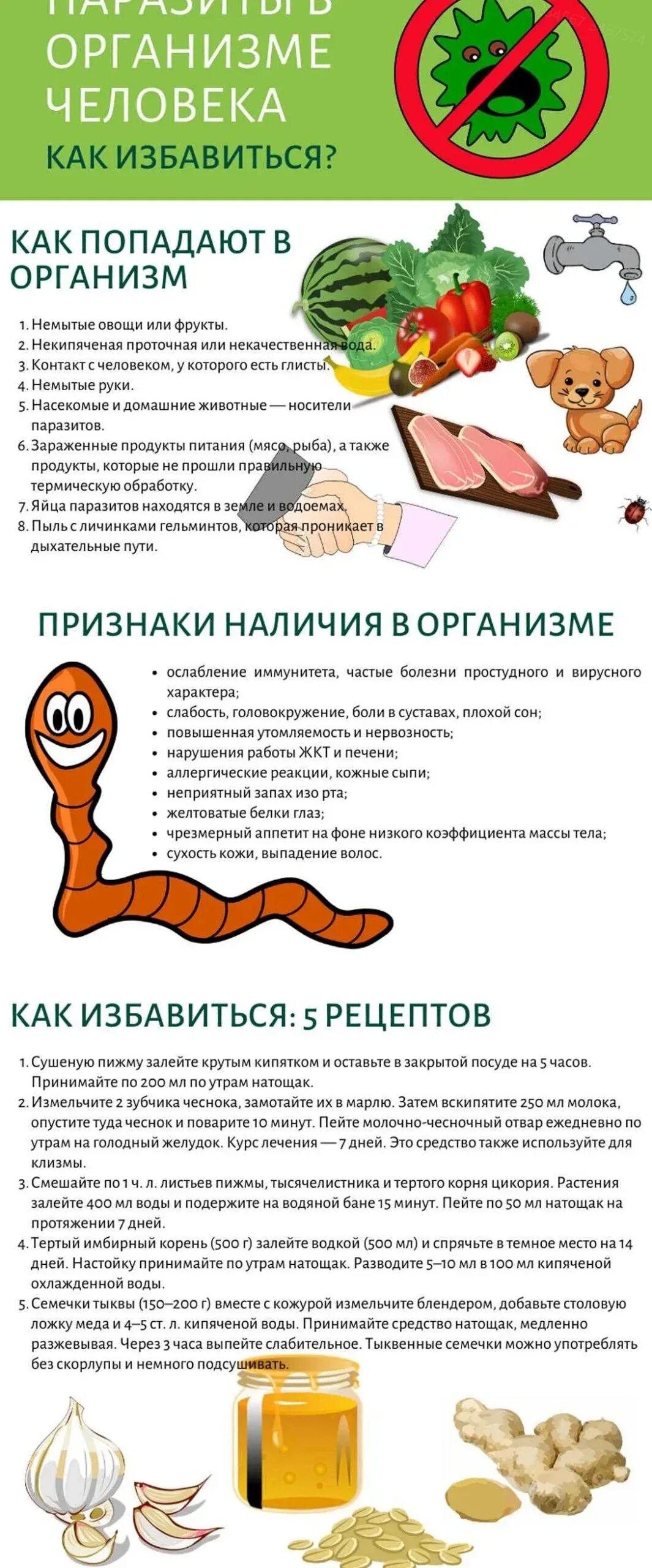 Как быстро от глистов. Как избавиться от паразитов в организме человека. продукты от паразитов. как вывести паразитов с организма. очищение организма от глистов.