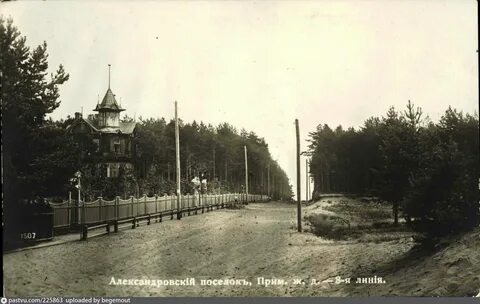 Александровская сиверская
