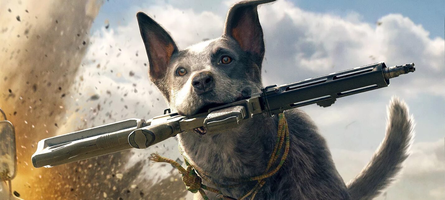 Far cry 5 гайды. Горы уайттейл far cry 5 аванпосты. Far cry 5 гайды. Far cry 5 гайды. Фар край 5 бургер.
