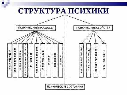 Элементы психики