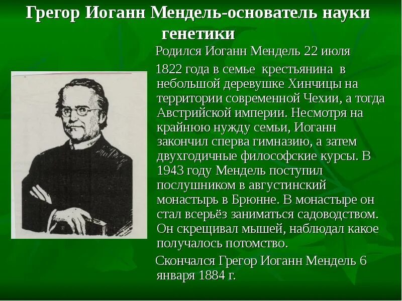 Создатель генетики. Грегор Иоганн Мендель. Мендель основоположник генетики. Грегор Мендель основоположник генетики являлся. Мендель - основоположник науки генетики..