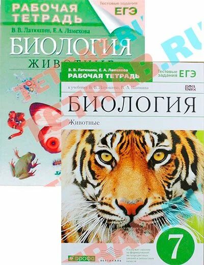 Биология в.в латюшин, е.а Ламехова рабочая тетрадь. Рабочая тетрадь по биологии 7 класс латюшин. Биология рабочая тетрадь 7 класс Лисов. Латюшин в.в. биология. Животных. 7 Кл..