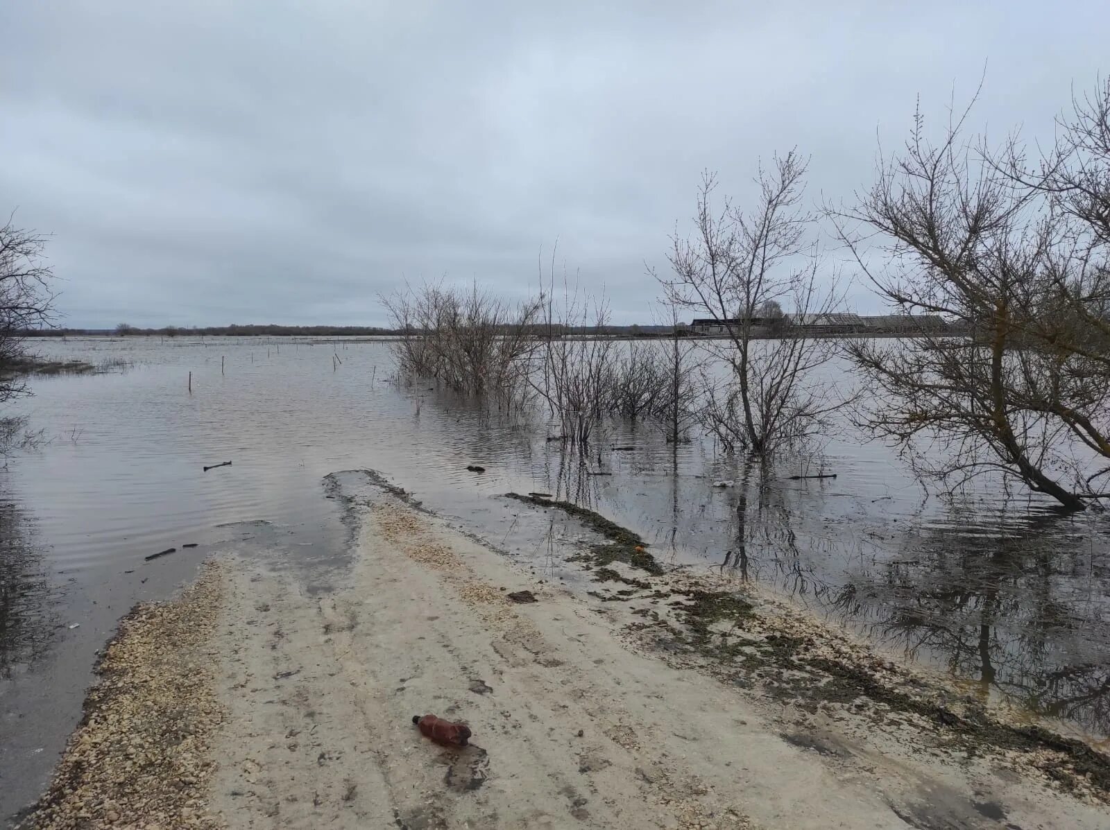 Уровень воды в мокше на сегодня. Подтопление. Грачевник Краснослободский район. Разлив Мокши. Разлив реки Мокша 2023.