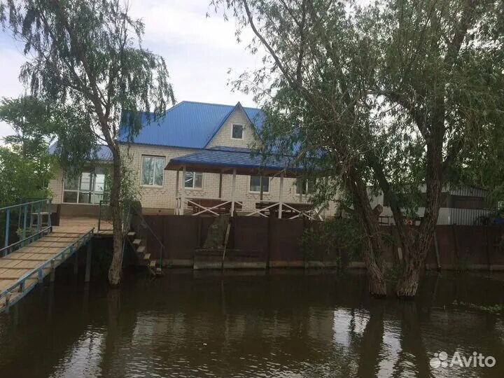 Зеленга. Астраханская область, володарский р-н, с. Астраханская область, володарский р-н, с. Астраханская область, володарский р-н, с. Рыбалка зеленга астраханская область.