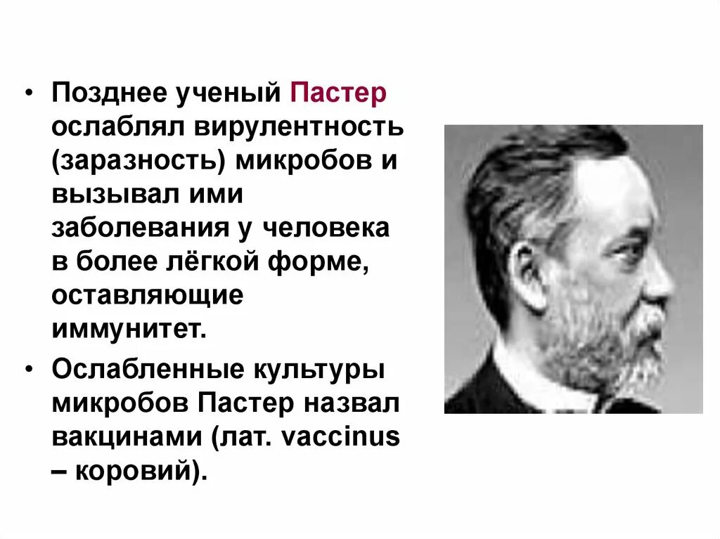 Теория иммунитета ученый. Пастер ученый. Пастер иммунитет. Ослабленные культуры. Точка Пастера в биологии это.