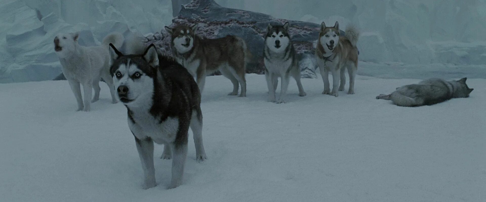 8 below