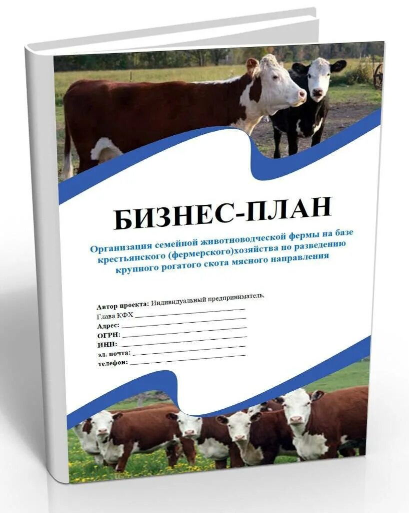 Смета на лпх. Бизнес план для начинающего фермера. Бизнес план фермерского хозяйства. Бизнес план крестьянского фермерского хозяйства. Бизнес план КФХ.