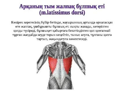 Жігіт қыздың кискасынан спермасын жалайды