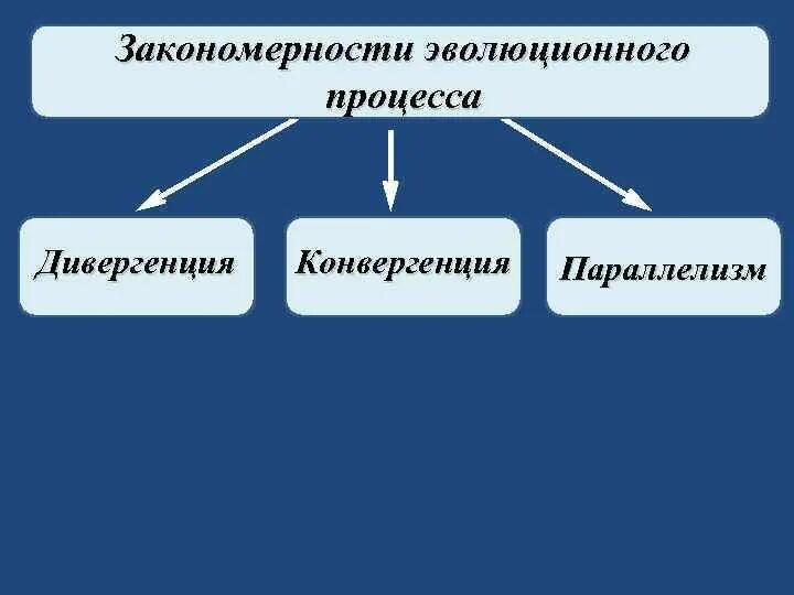 Основные закономерности эволюции биология 9. Закономерности эволюции. Основные закономерности эволюции. Основные закономерности эволюционного процесса. Закономерности биологической эволюции.