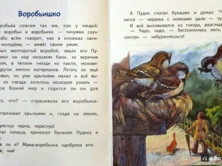 Иллюстрации к рассказу Воробьишко Максима Горького. Иллюстрации книги Горький Воробьишко. Читать рассказ воробьи