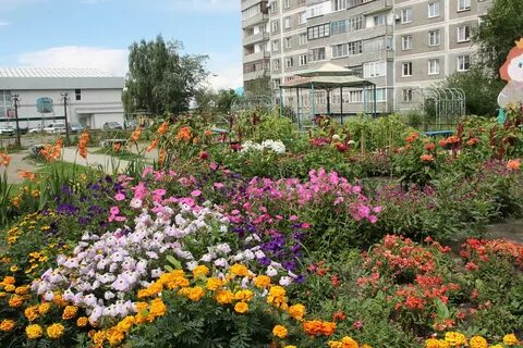 Цветы глазов