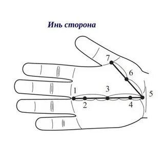 Пак точки