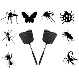 Flies killed