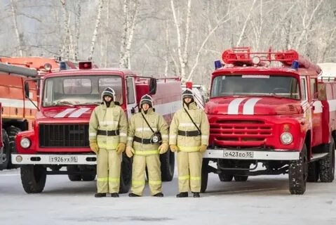 Пч лы