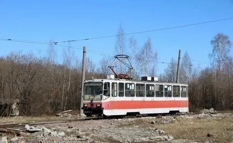 12 от пихтовых гор до островского