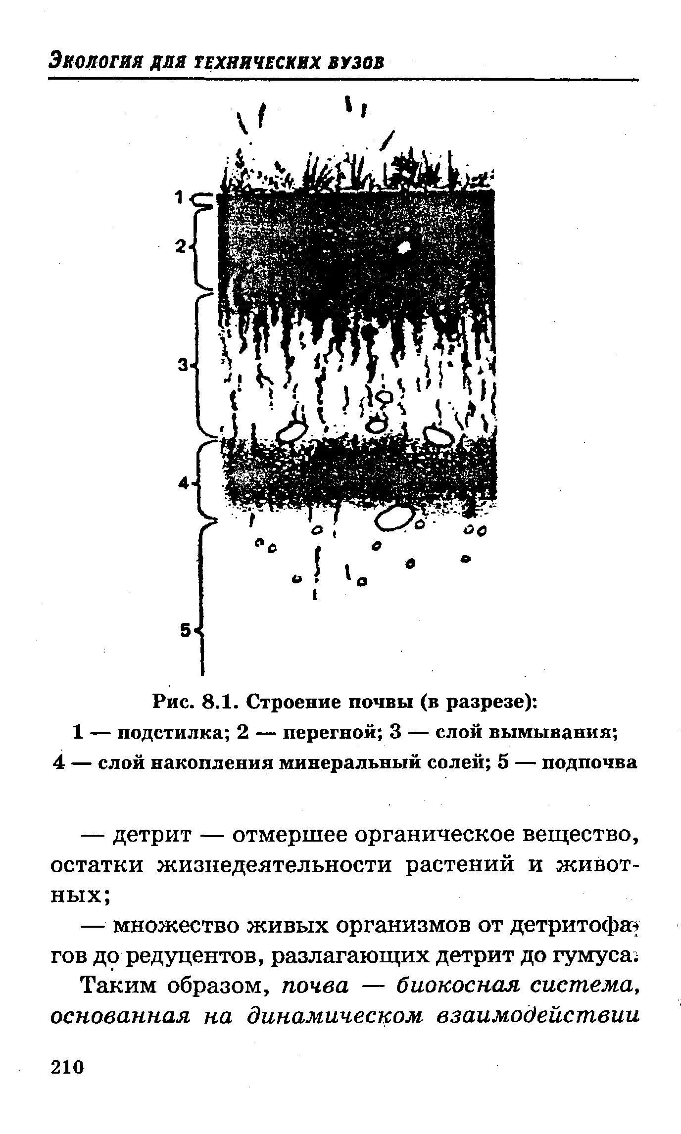 Схема структуры почвы. Строение почвы. разрез почвы схема. строение почвы в разрезе. слои почвы.
